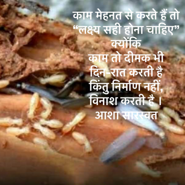 Hindi Blog by Asha Saraswat : 111732024