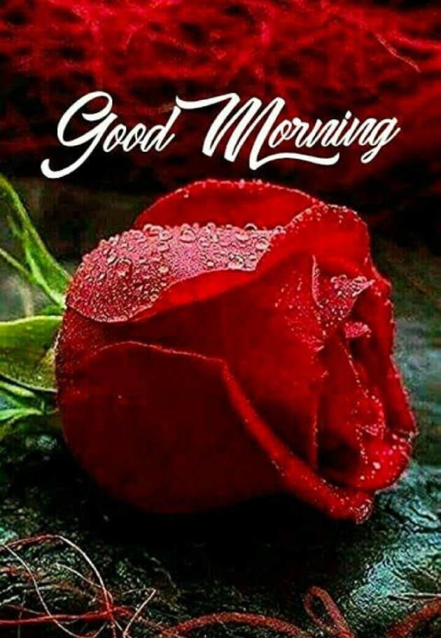 English Good Morning by Ashish9 : 111732106