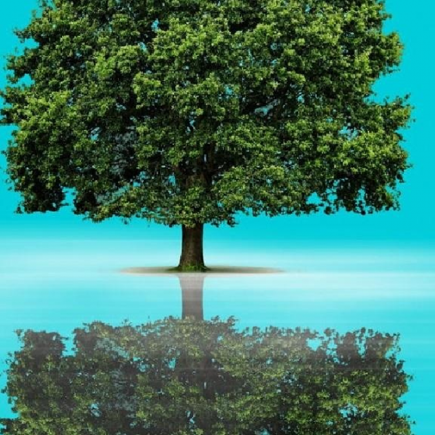 Hindi Blog by Dr. Damyanti H. Bhatt : 111732764