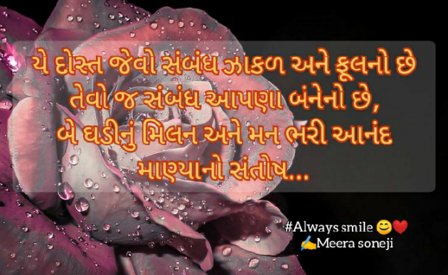Gujarati Blog by Meera Soneji : 111732975