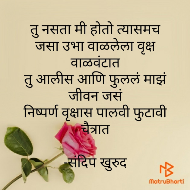 Marathi Whatsapp-Status by संदिप खुरुद : 111733125