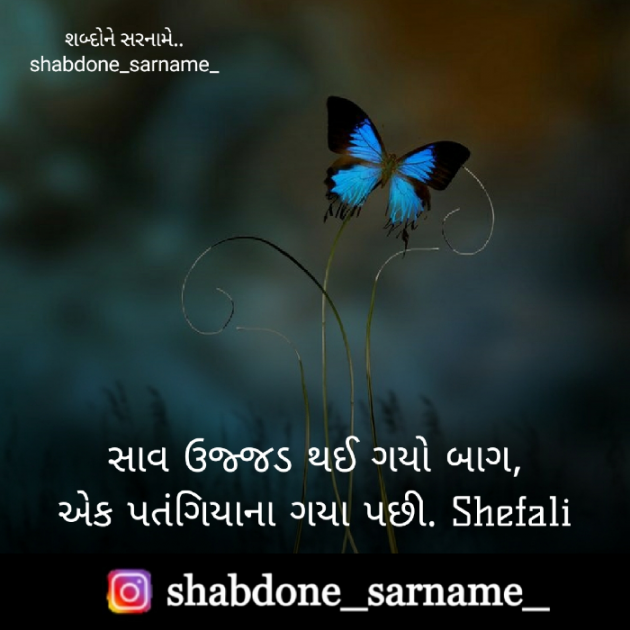 Gujarati Whatsapp-Status by Shefali : 111733344