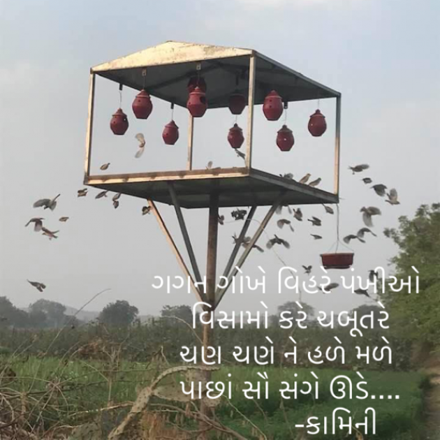 Gujarati Poem by Kamini Shah : 111733740