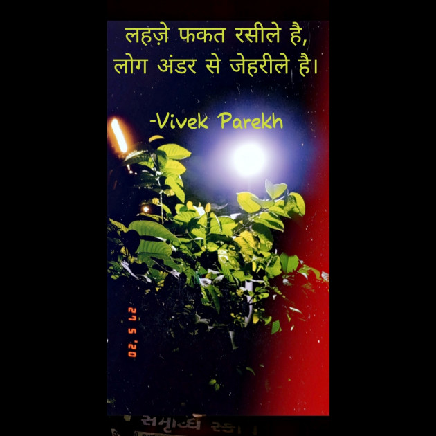 Hindi Shayri by Vivek Parekh : 111734514