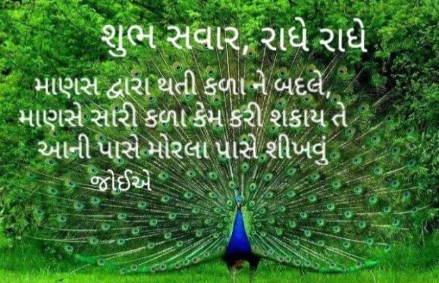 Gujarati Good Morning by RajniKant H.Joshi : 111734548