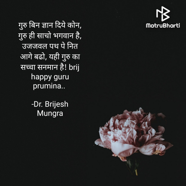 Hindi Blog by Dr. Brijesh Mungra : 111734658