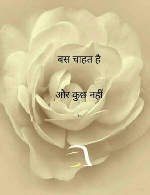 Hindi Whatsapp-Status by SUBHASH MEGHANI : 111736772