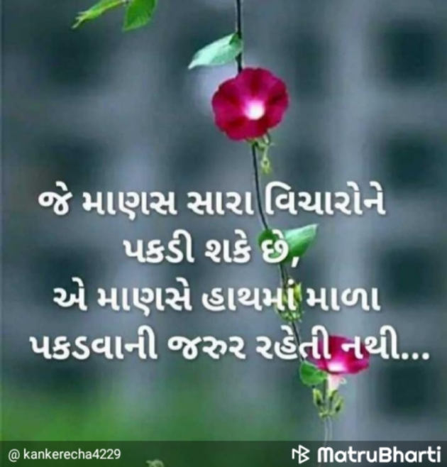 Gujarati Thought by Prem_222 : 111737178