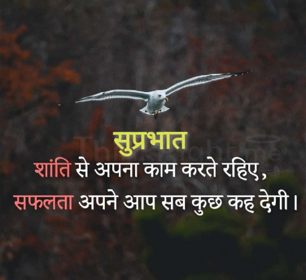 Hindi Quotes by Sawar Mal Patwari : 111737301