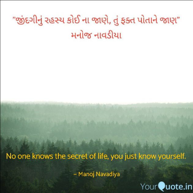 Gujarati Quotes by મનોજ નાવડીયા : 111738110