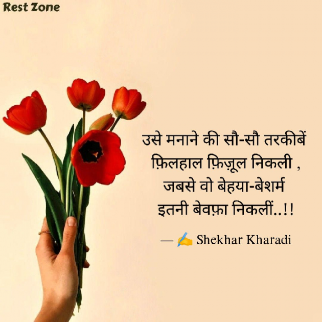 Hindi Blog by shekhar kharadi Idriya : 111738145