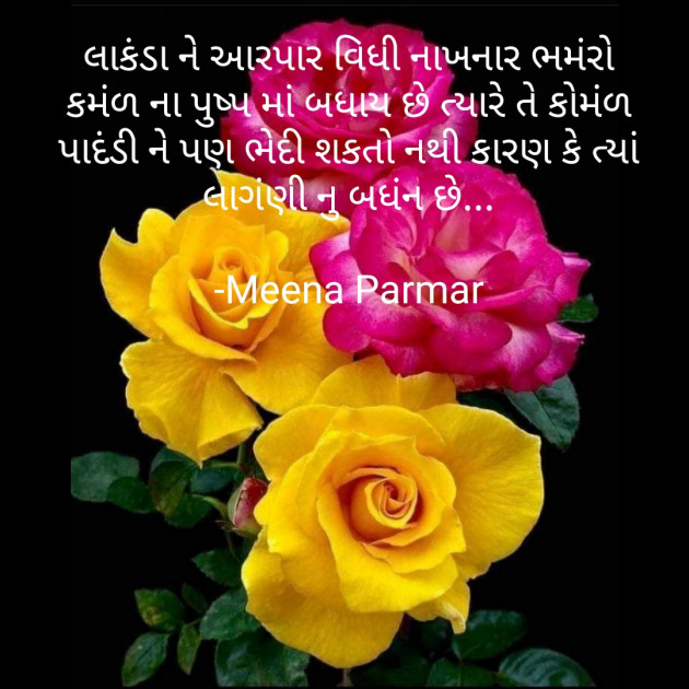 Gujarati Romance by Meena Parmar : 111738265