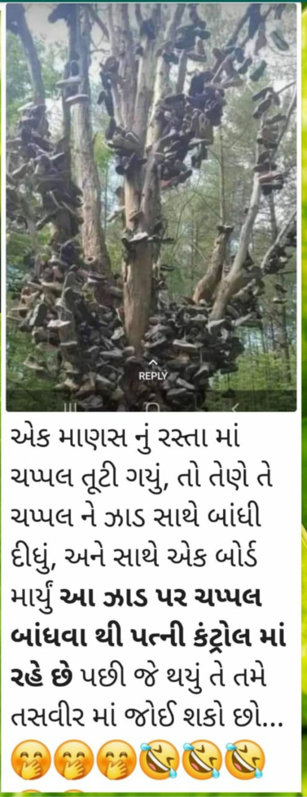 Gujarati Funny by Anurag Basu : 111738331