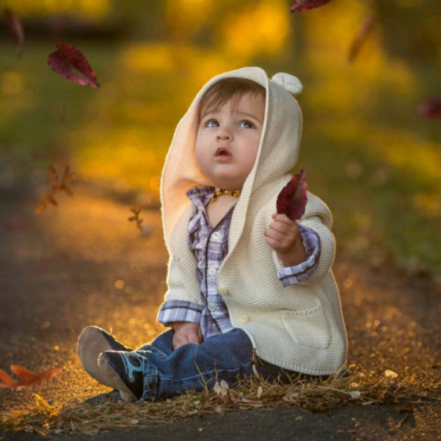 Hindi Blog by Harsh Parmar : 111738380