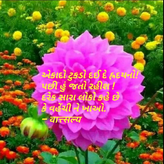 Gujarati Quotes by वात्सल्य : 111738793