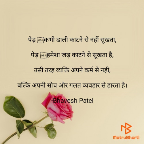 Post by Bhavesh Patel on 04-Aug-2021 02:32pm