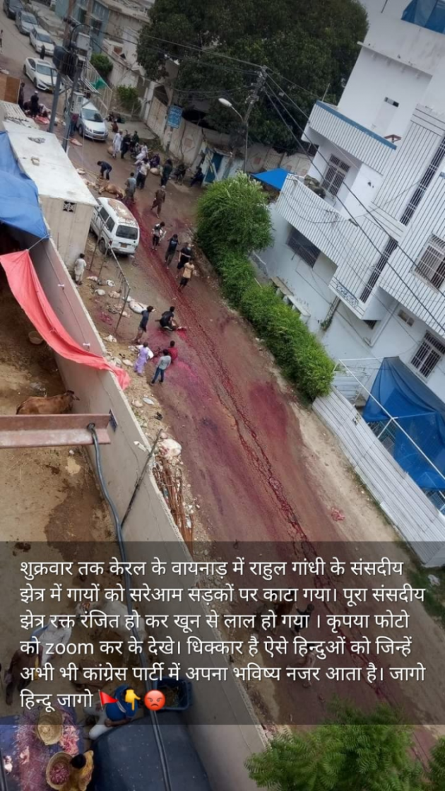 Hindi Blog by Jigs Hindustani : 111739459