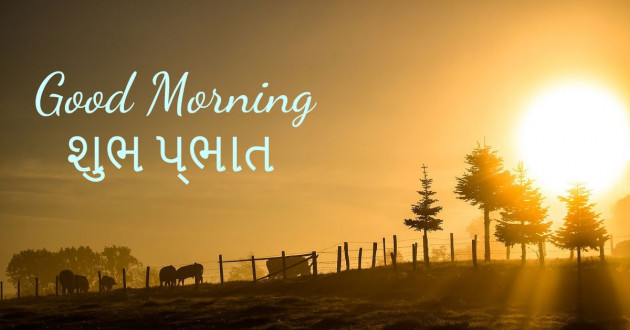 Gujarati Good Morning by Vijay Panchal : 111739646