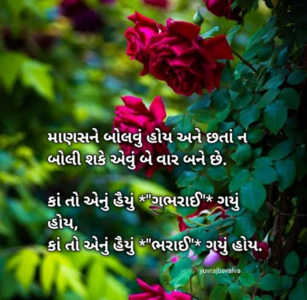 Gujarati Quotes by Prashant : 111740326