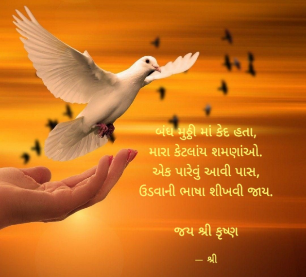 Gujarati Quotes by Gor Dimpal Manish : 111740865