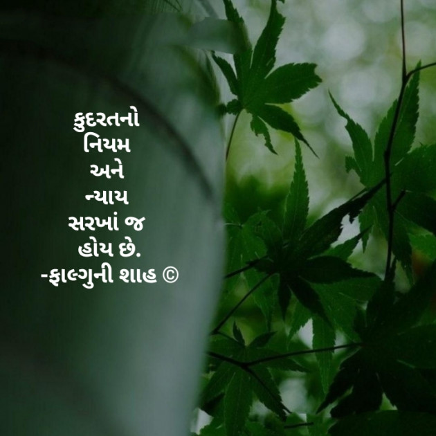 Gujarati Thought by Falguni Shah : 111742670