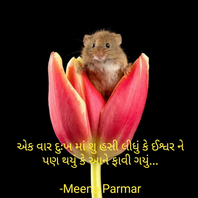 Gujarati Quotes by Meena Parmar : 111743693