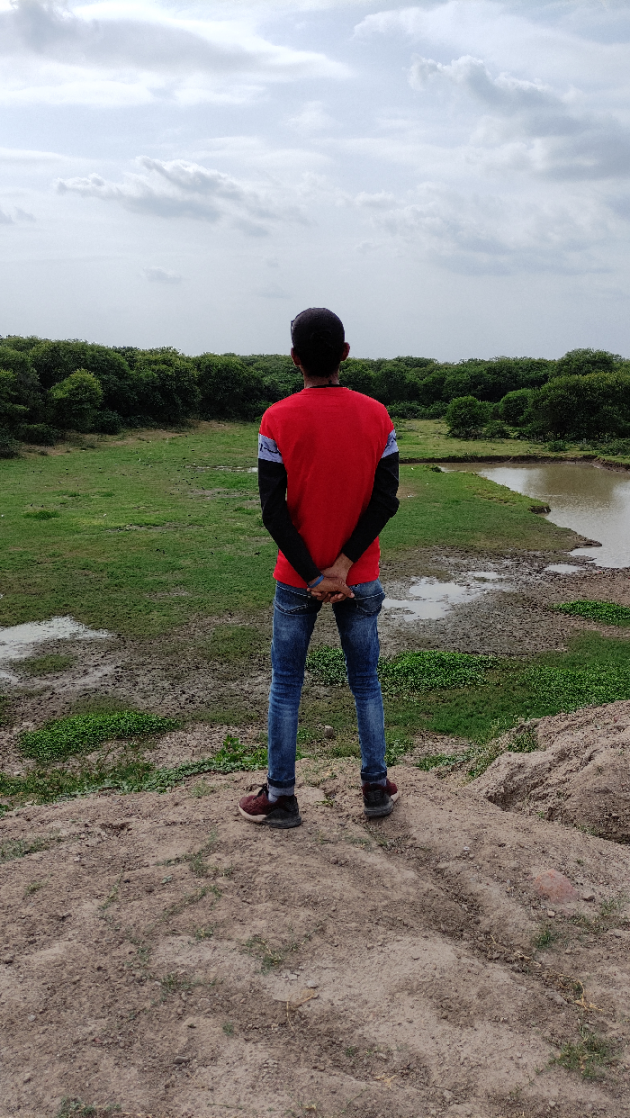 Hindi Blog by Harsh Parmar : 111744040