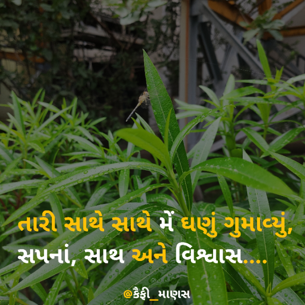 Gujarati Thought by Nikhil Chauhan : 111745556