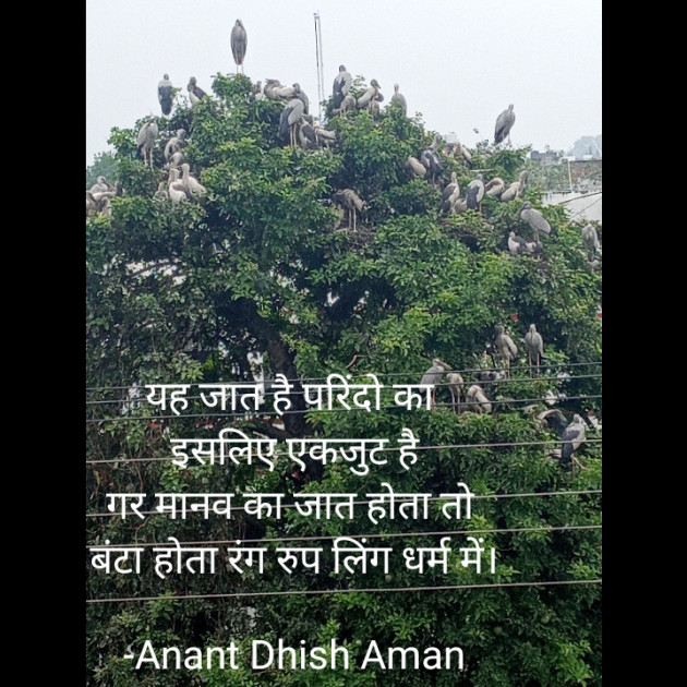 Hindi Motivational by Anant Dhish Aman : 111745685