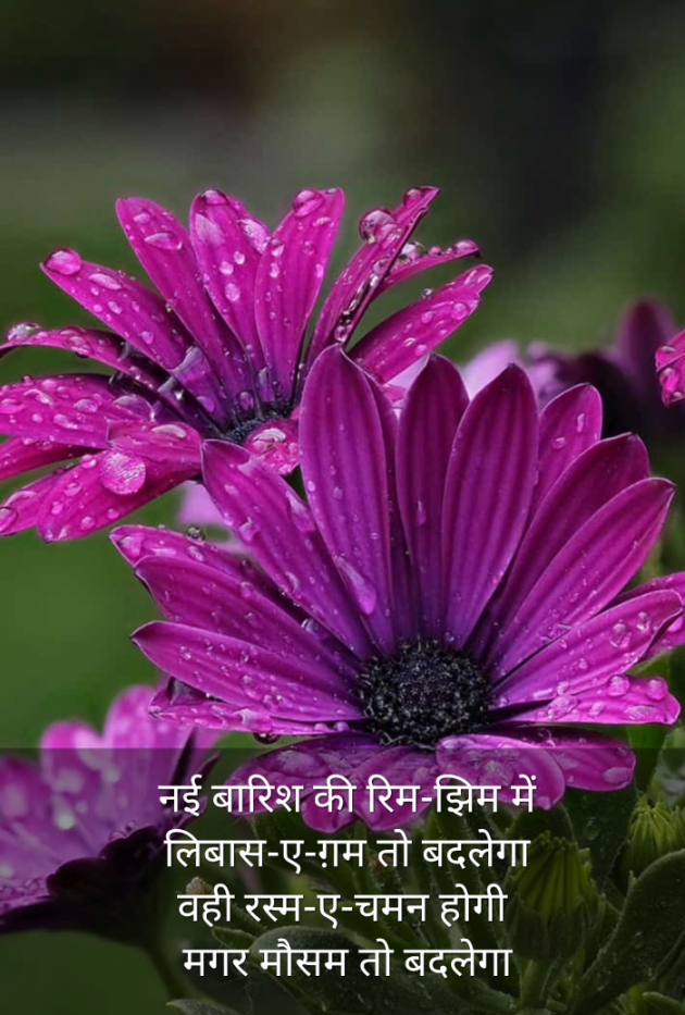 Hindi Romance by Kumar Rahman : 111746273