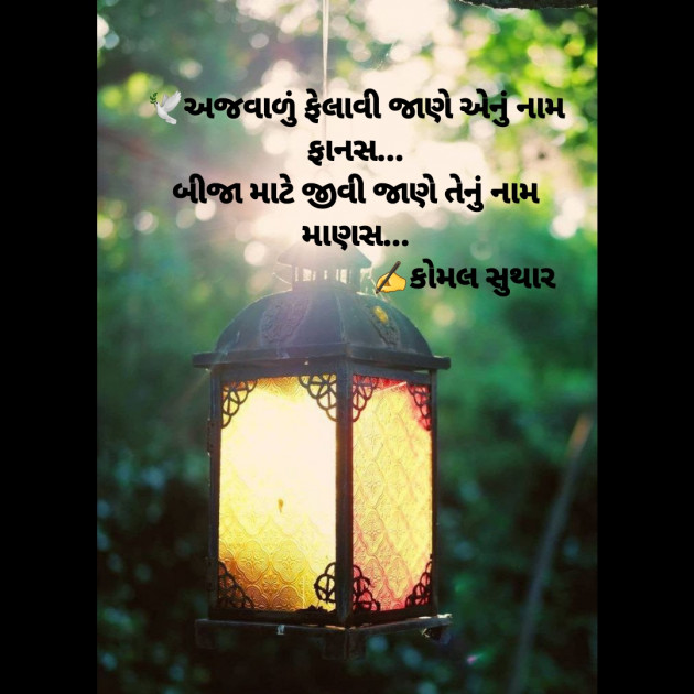 Gujarati Quotes by Komal Suthar : 111746695