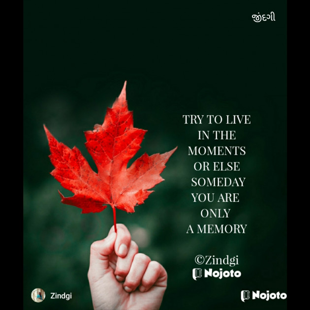 Gujarati Thought by Falguni Maurya Desai _જીંદગી_ : 111746907