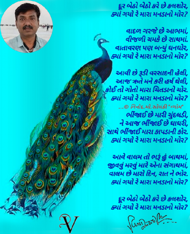 Gujarati Poem by વિનોદ. મો. સોલંકી .વ્યોમ. : 111747771