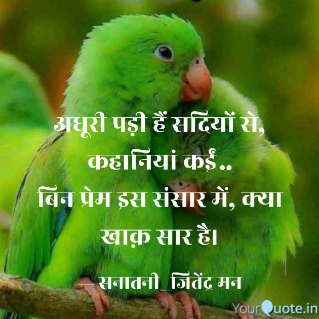 Hindi Shayri by सनातनी_जितेंद्र मन : 111747909