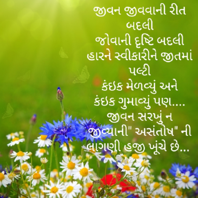 Gujarati Blog by Baldev Solgama : 111748813