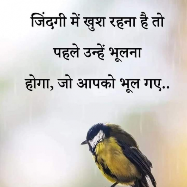 Hindi Whatsapp-Status by Dr Sonika Sharma : 111749027