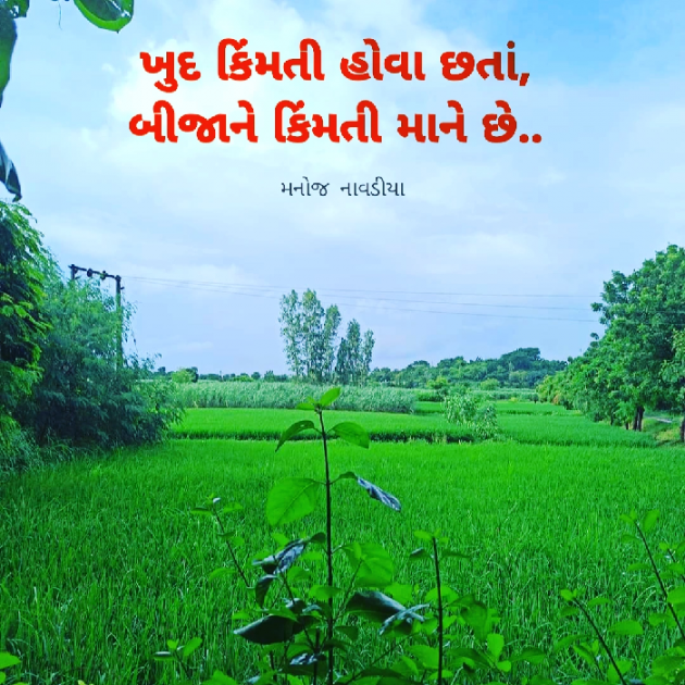 Gujarati Quotes by મનોજ નાવડીયા : 111749164