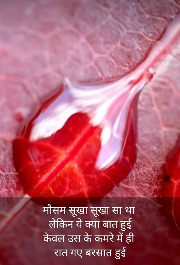 Hindi Romance by Kumar Rahman : 111749597