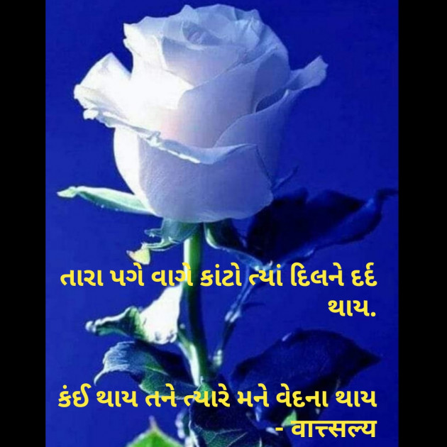 Gujarati Shayri by वात्सल्य : 111750168