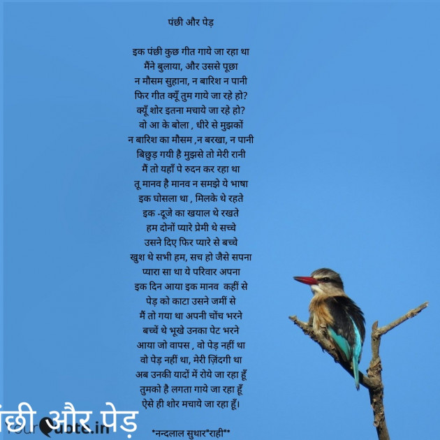 Hindi Whatsapp-Status by नन्दलाल सुथार राही : 111750326