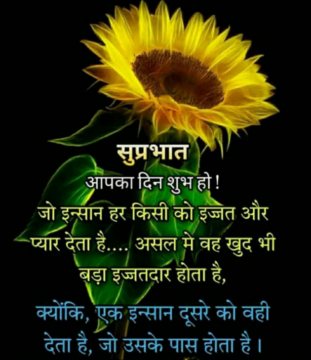 Hindi Quotes by Sawar Mal Patwari : 111750404