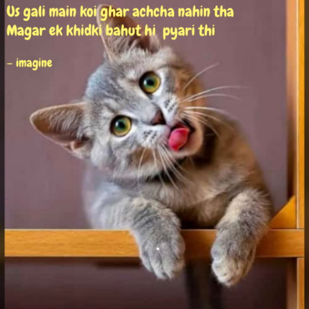 English Shayri by Imagine : 111750495