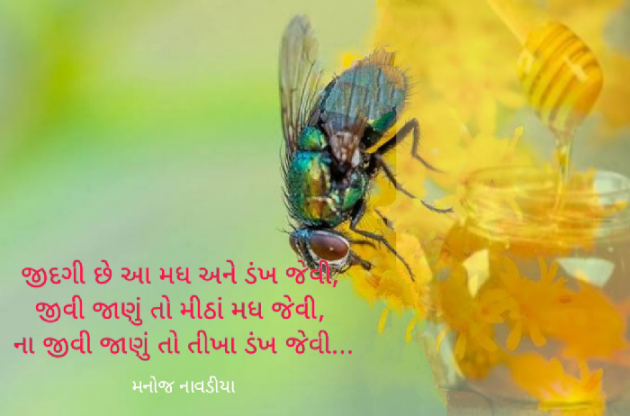 Gujarati Shayri by મનોજ નાવડીયા : 111750888