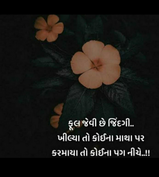 Gujarati Thought by Het Bhatt Mahek : 111751969