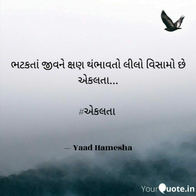 English Good Morning by Yaad Hamesha : 111752410