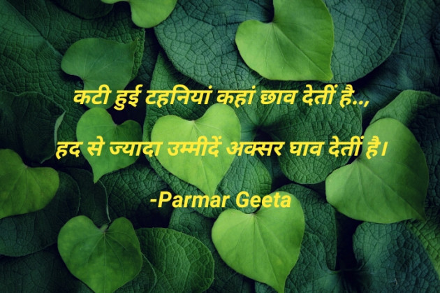Hindi Blog by Parmar Geeta : 111752477