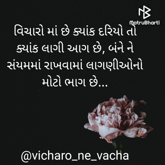 Gujarati Whatsapp-Status by Divya : 111752561