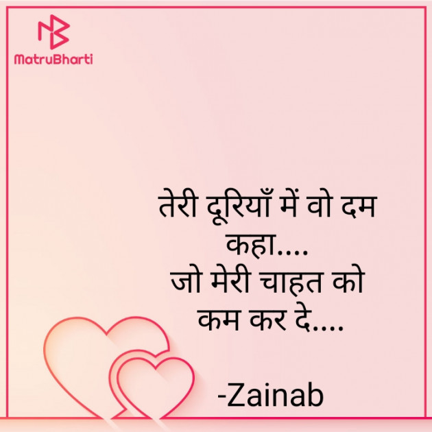 Hindi Blog by Zainab Makda : 111753015