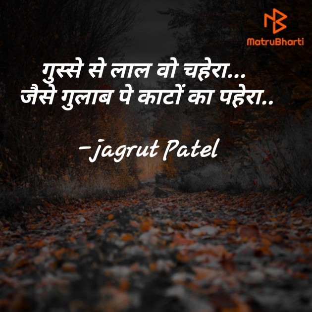 Hindi Blog by jagrut Patel pij : 111753439
