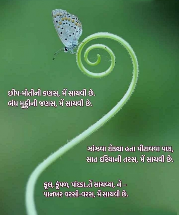 Gujarati Shayri by Balkrishna patel : 111753446